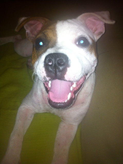 Die kleine Prinzessin Mica :)