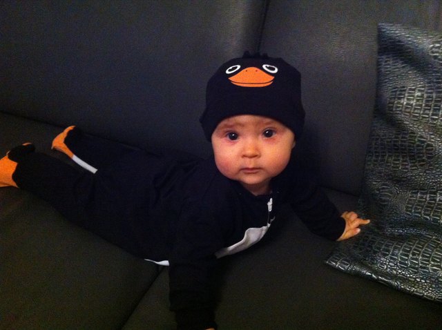 Ileana als Pinguin