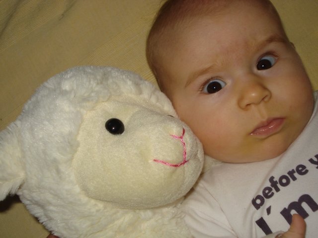 ich und mein Schaf Meli :-)