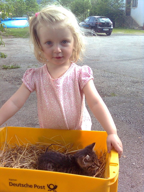 Was die Post nicht alles bringt!