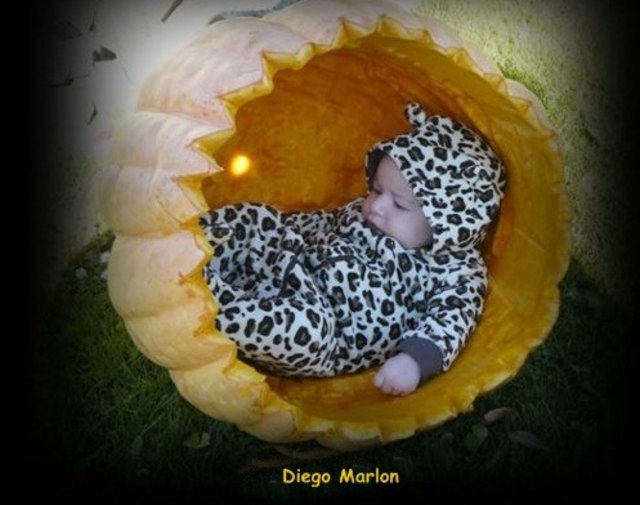 Unser Diego Marlon mit drei Monate im Kürbisbettchen.