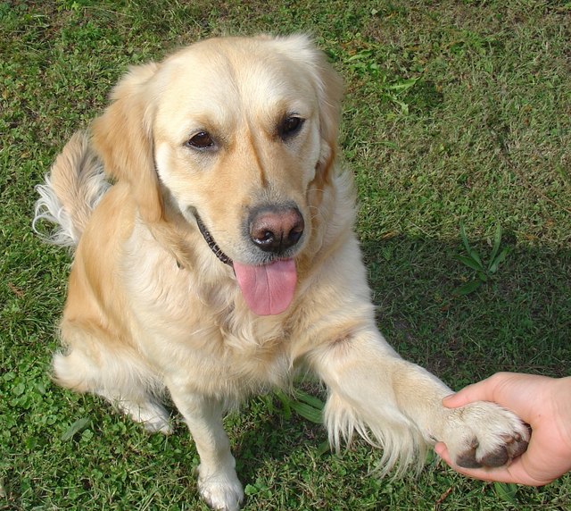 DANKE für alles Schöne...