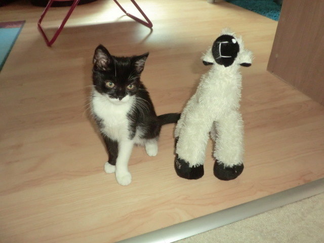 Braut mit Bräutigam =)