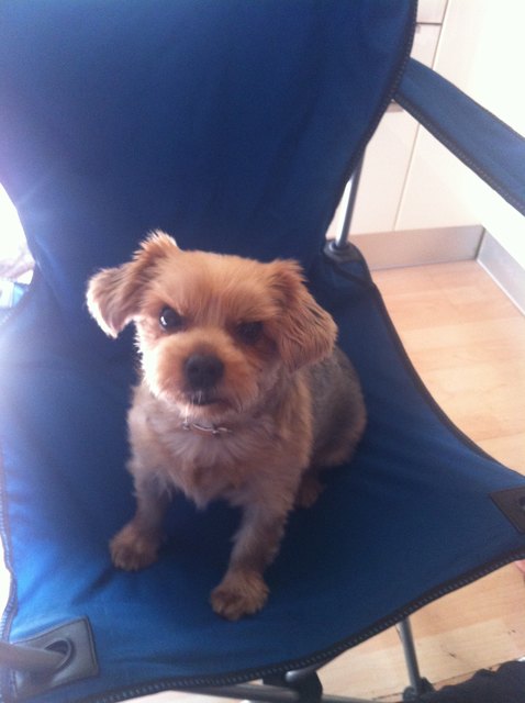 Jimmy isabellas baby