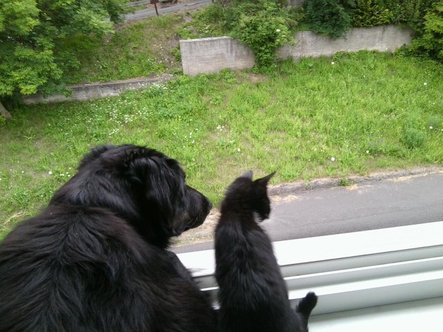 "Jetzt schau dir den da mal an!"