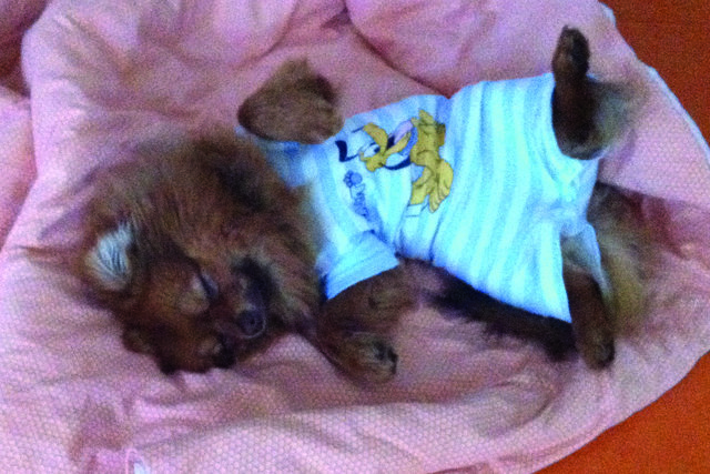 lieber im Body schlafen wia mim Beisring no der operation...