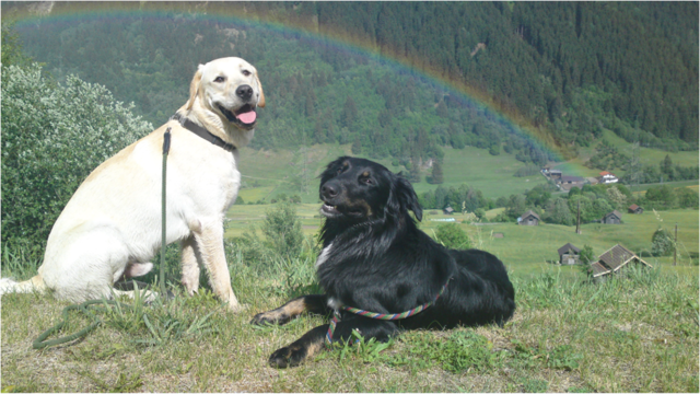 what a beautiful day