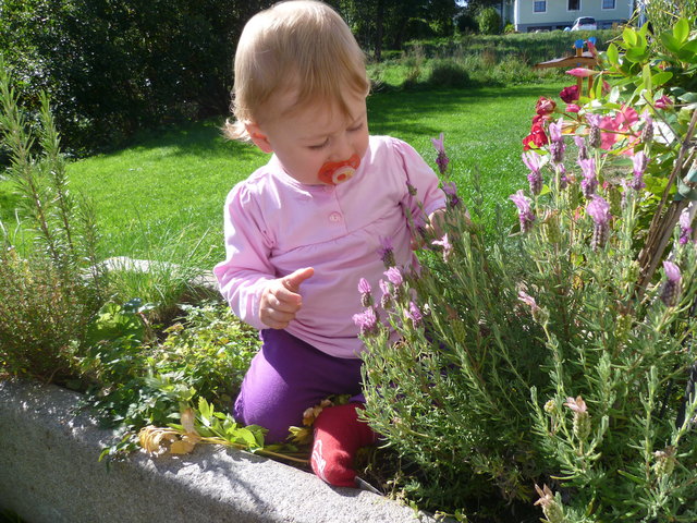 kleine Gärtnerin