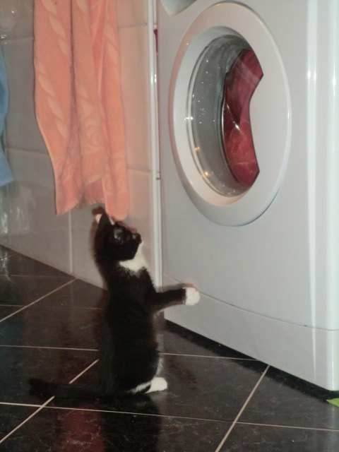 Lieblingsprogramm?? ... Schschschschleeeeudeeeeern!!!