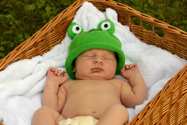 Unser kleiner Froschkönig :)