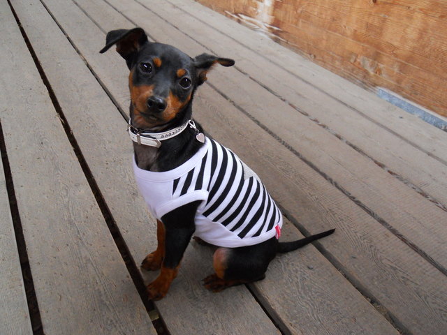 streifen machen schlank... 90-60-90 ;-)