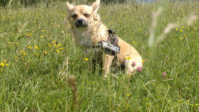 Wohlfühlen in der warmen Sommersonne und einem lauen Lüftchen.