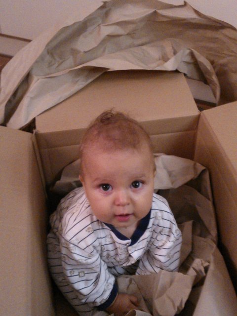 Thomas im Packerl
