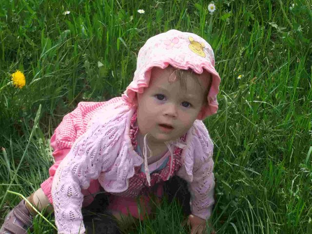 wiesenfest mit anika