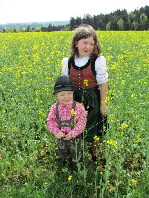 Rapsfeld