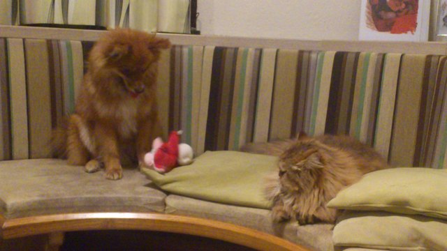 Rusty will Winni zum mitspielen bringen.