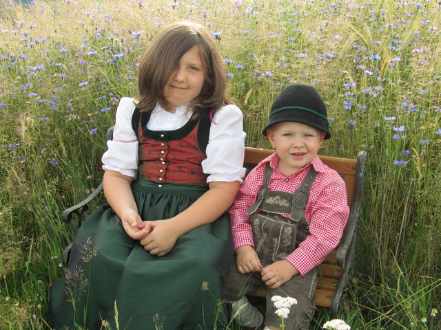 Kornblumen