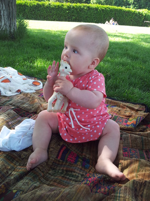 Picknick ach wie schön