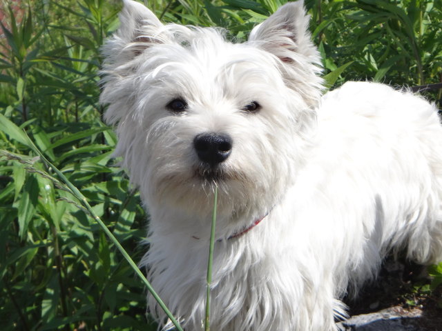 Zeus - ein wahrer Göttervater!