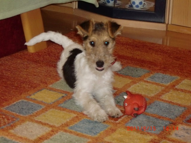 Bin zu allen Schandtaten bereit!!!