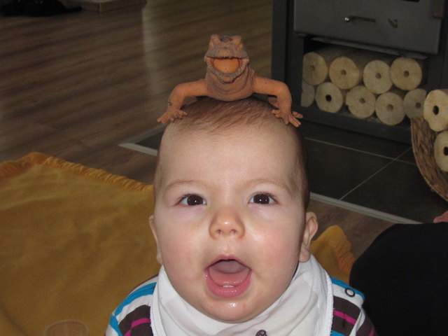 Mein Freund Willi!!!