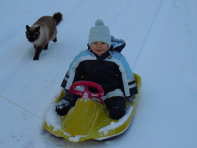 Winterspaziergang mit Katze "Charly"