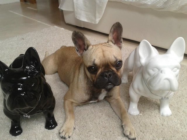 Ich und meine 2 Freunde...