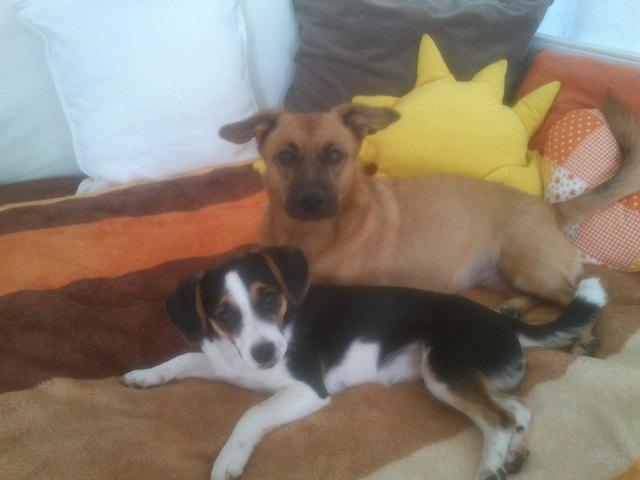 Lea und Luna :-)