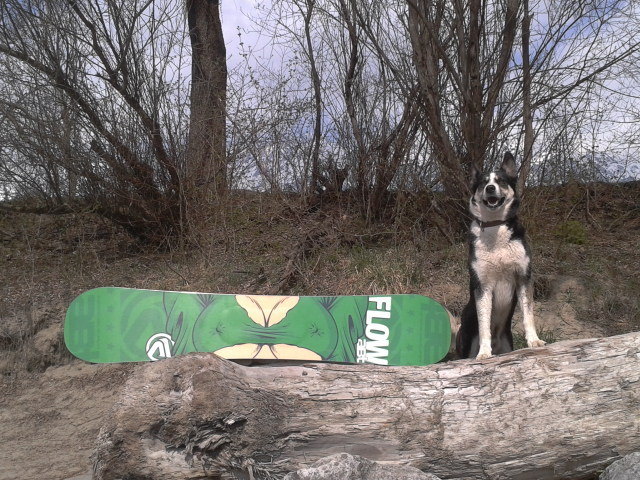 Larry and his snowboard