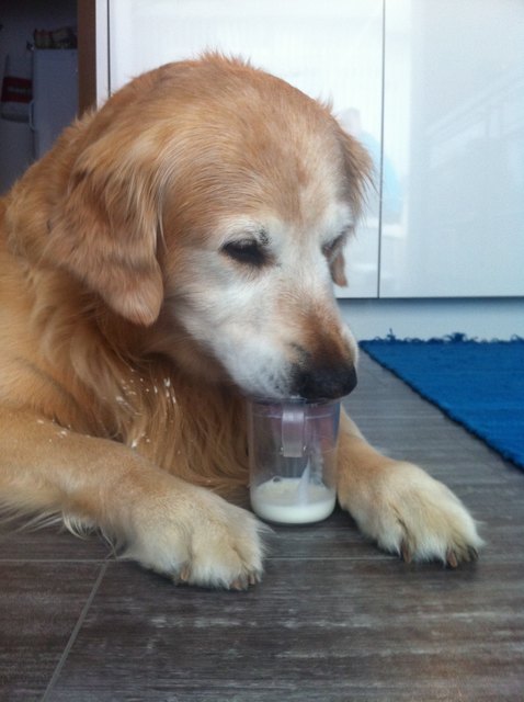 Timmy beim Frühstücken :-)