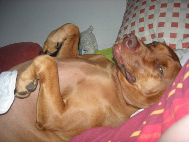 mag noch nicht aufstehn