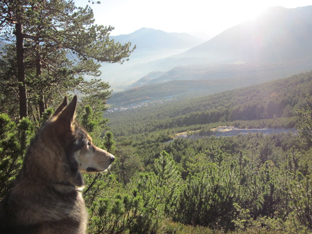 Timo genießt die Ruhe