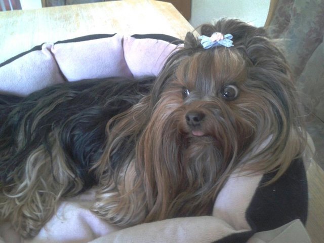 Meine freche Tiffany