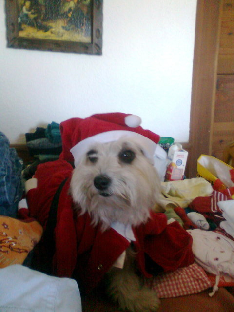 unser kleiner Liebling