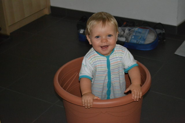 Jakob