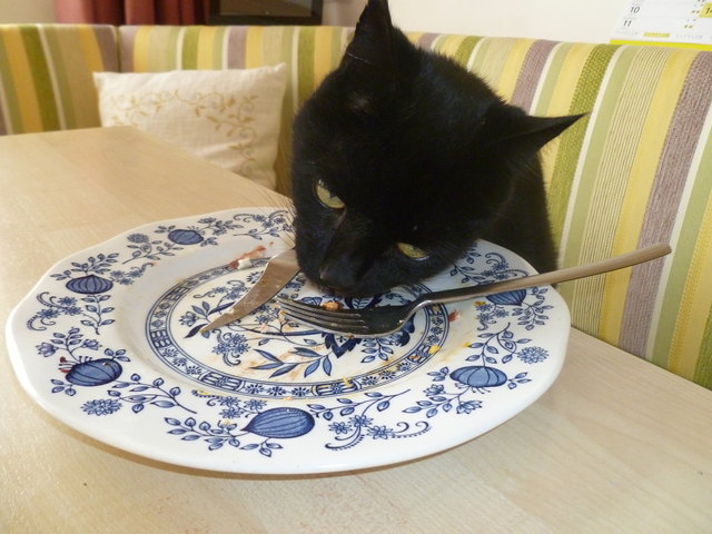 was unser Stanis eigentlich nicht machen darf, Teller abschlecken...