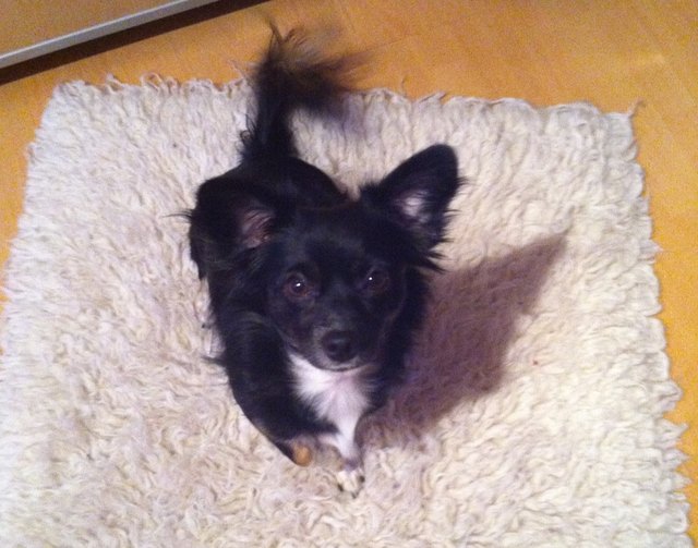 Unsere süsse maus :) 