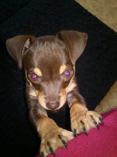 Ich will jetzt auf die Couch!