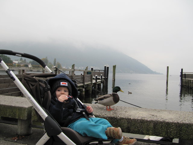 Die Ente und ich