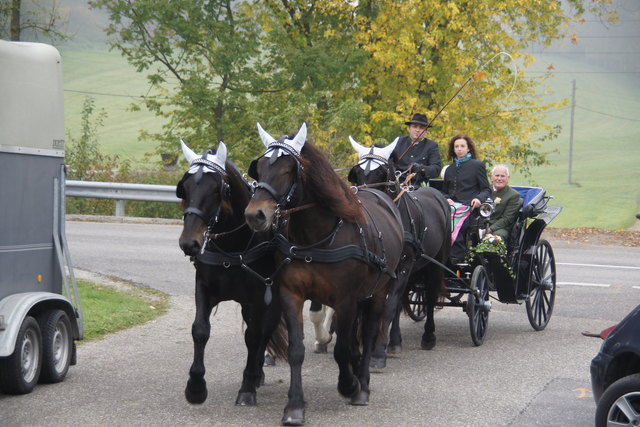 Diamantene Hochzeit "hoch zu Roß" in Raab - Schärding