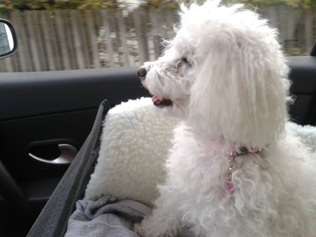 Wohin geht die Reise ?!?