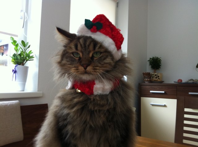 Juma als Weihnachtsmann