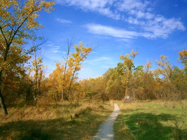 durch die Obere Lobau 2012