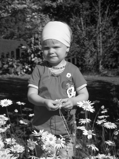 So viele Blumen