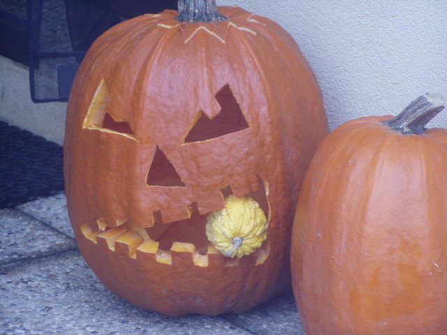 Heute in Forchtenstein entdeckt