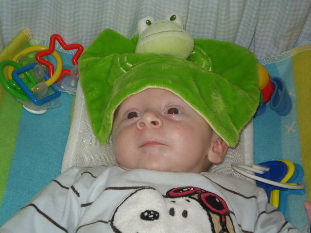 Vorderweißenbach/ Froschkönig....