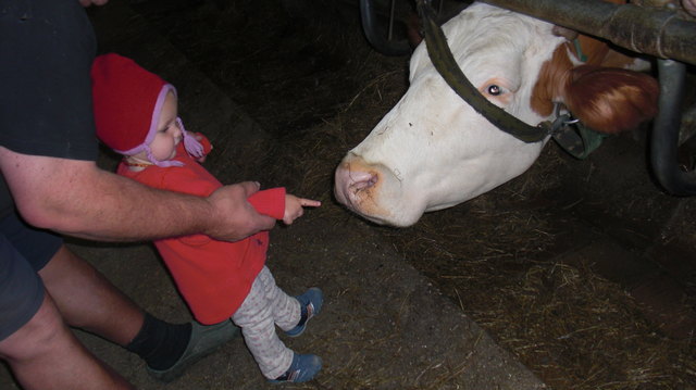 Anna im Stall bei Oma und Opa Hutterer