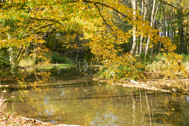 Hier noch ein paar Eindrücke eines sonnigen Herbsttages im Schlosspark Pottendorf.