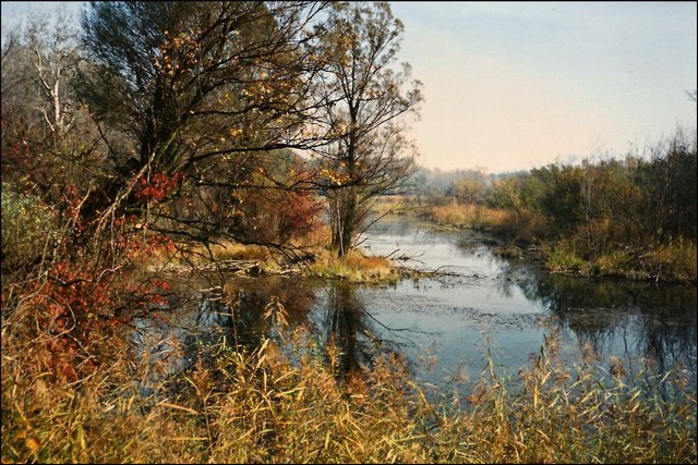 Diese Bilder entstanden im Nationalpark Lobau bei der sogenannten Künigltraverse