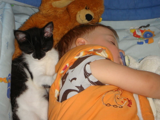 Meine Katze und ich